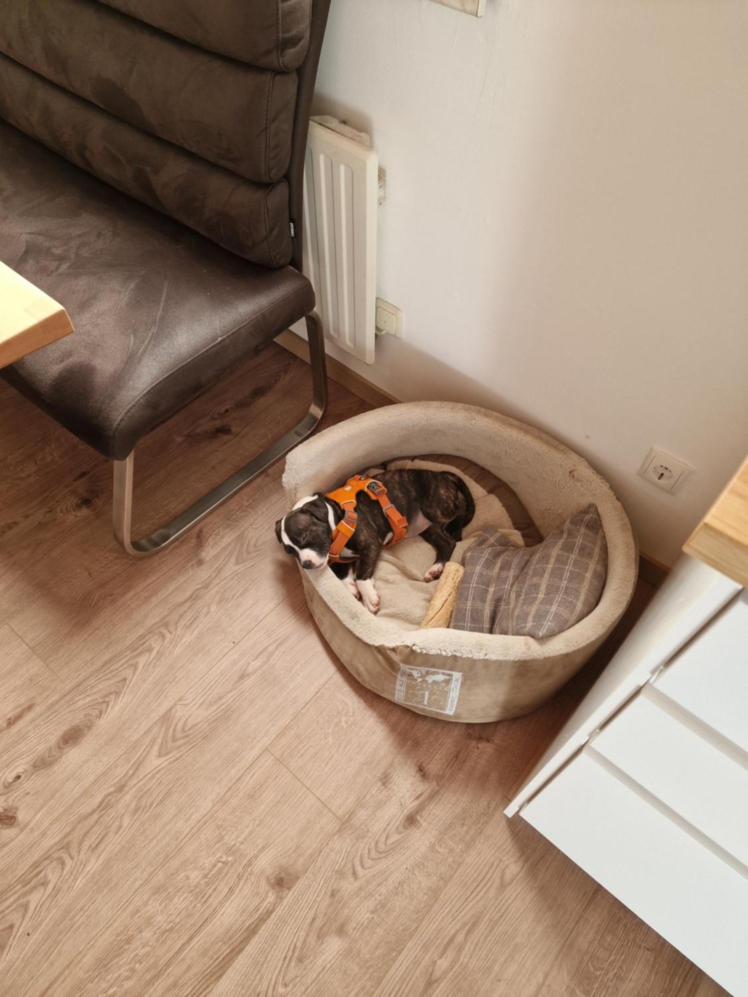 Fini Ferienhaus *